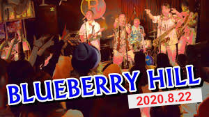 THE BLUEBERRY HILL