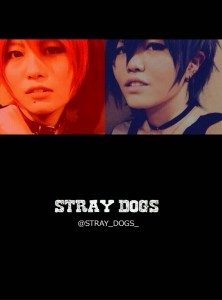 番狗-STRAY DOGS-